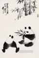 Panda Wu Zuoren comiendo bambú tradicional China